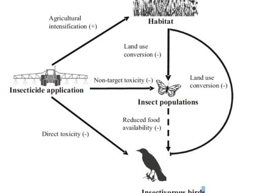 Application professionnelle de biocide